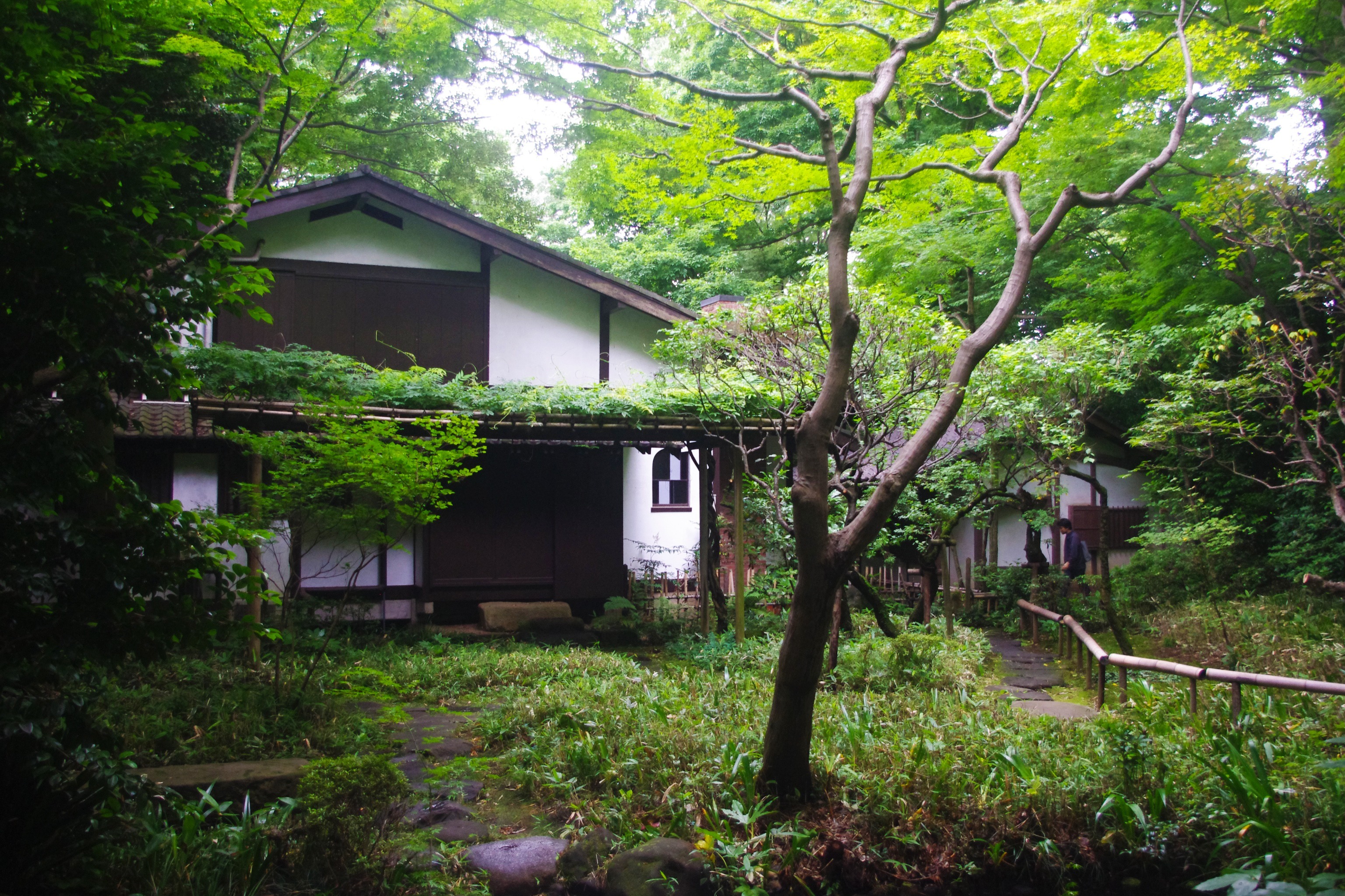 主屋茶室 外観 Luchta
