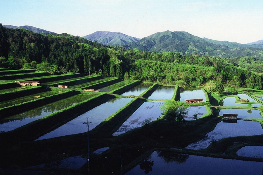奥出雲町・大原新田の棚田の風景
